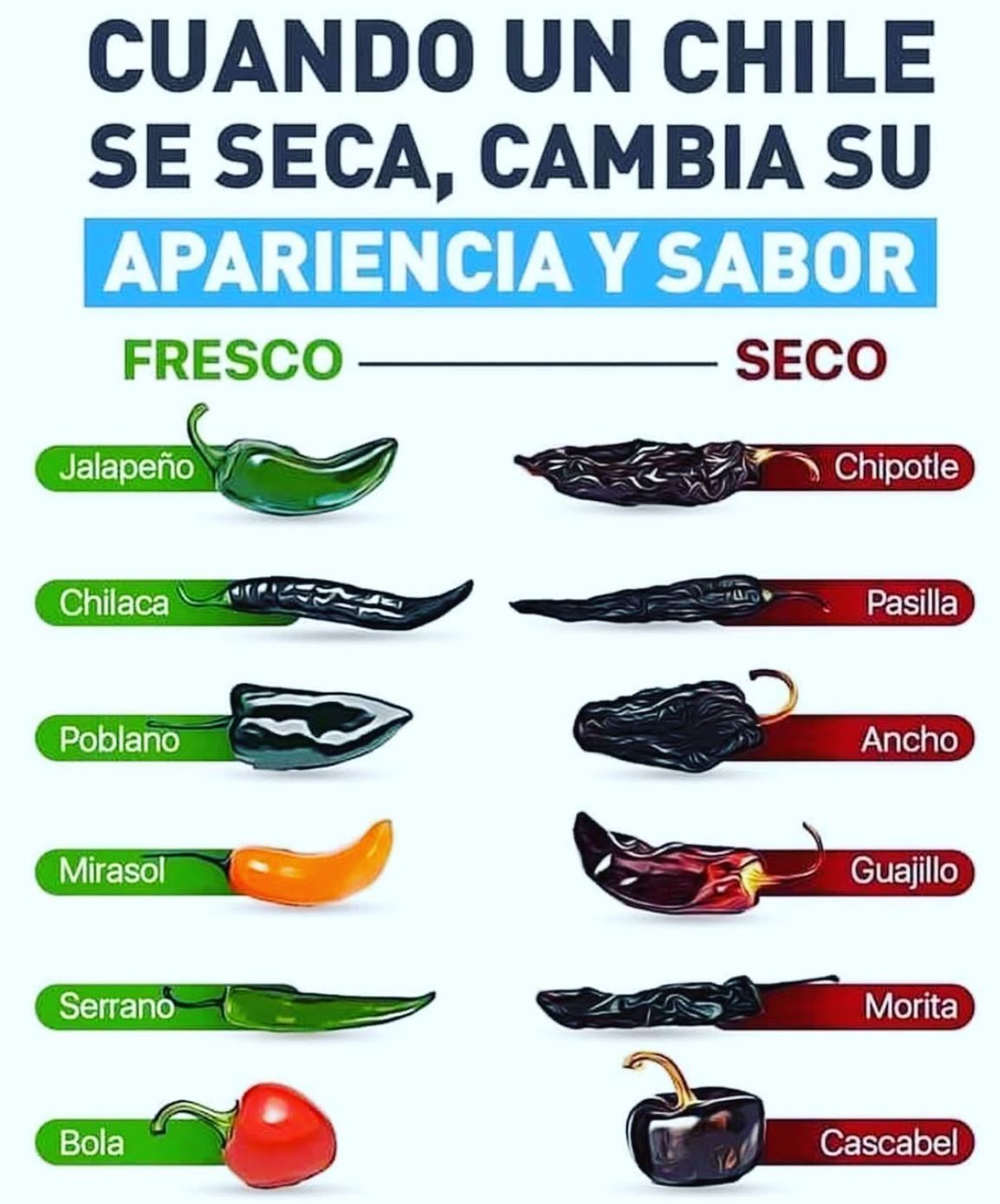 Mexican chili pepper varieties guide